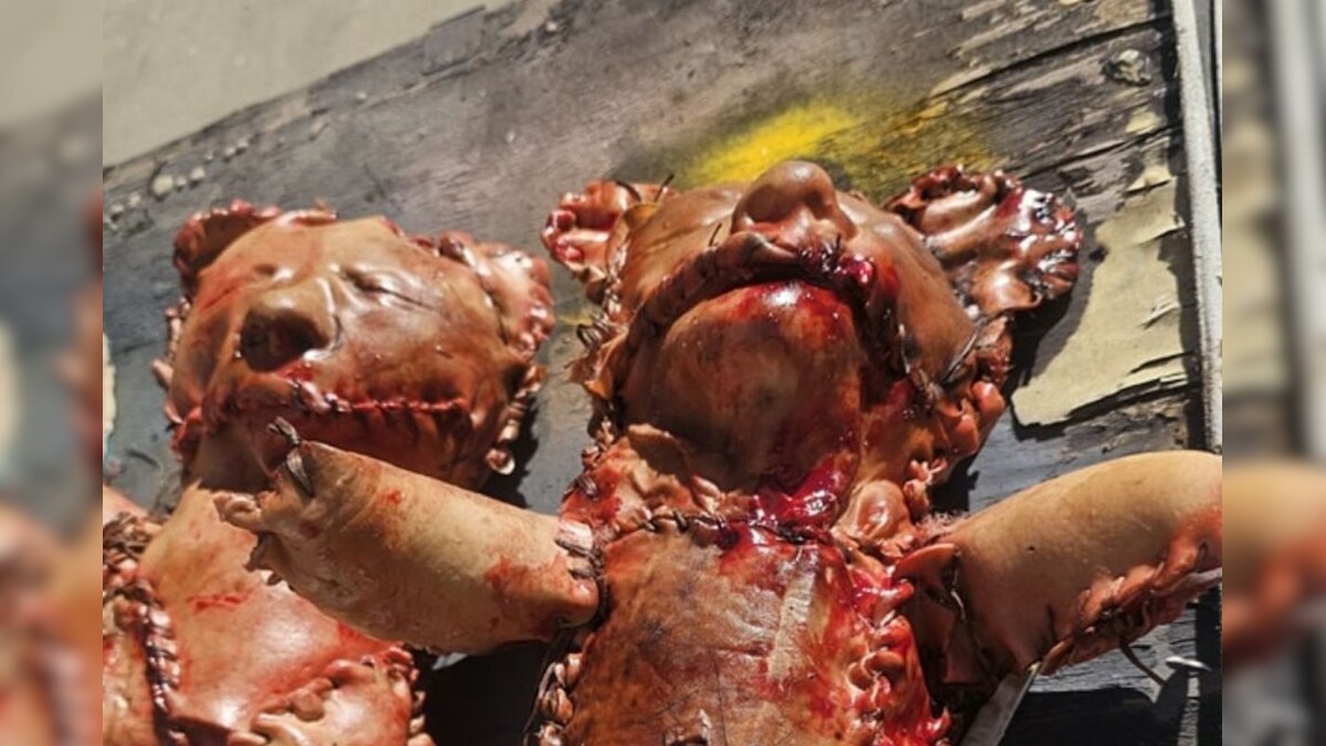 The case approached the petrol pump a ‘Death’ Tedy Bear, Police, then the next …