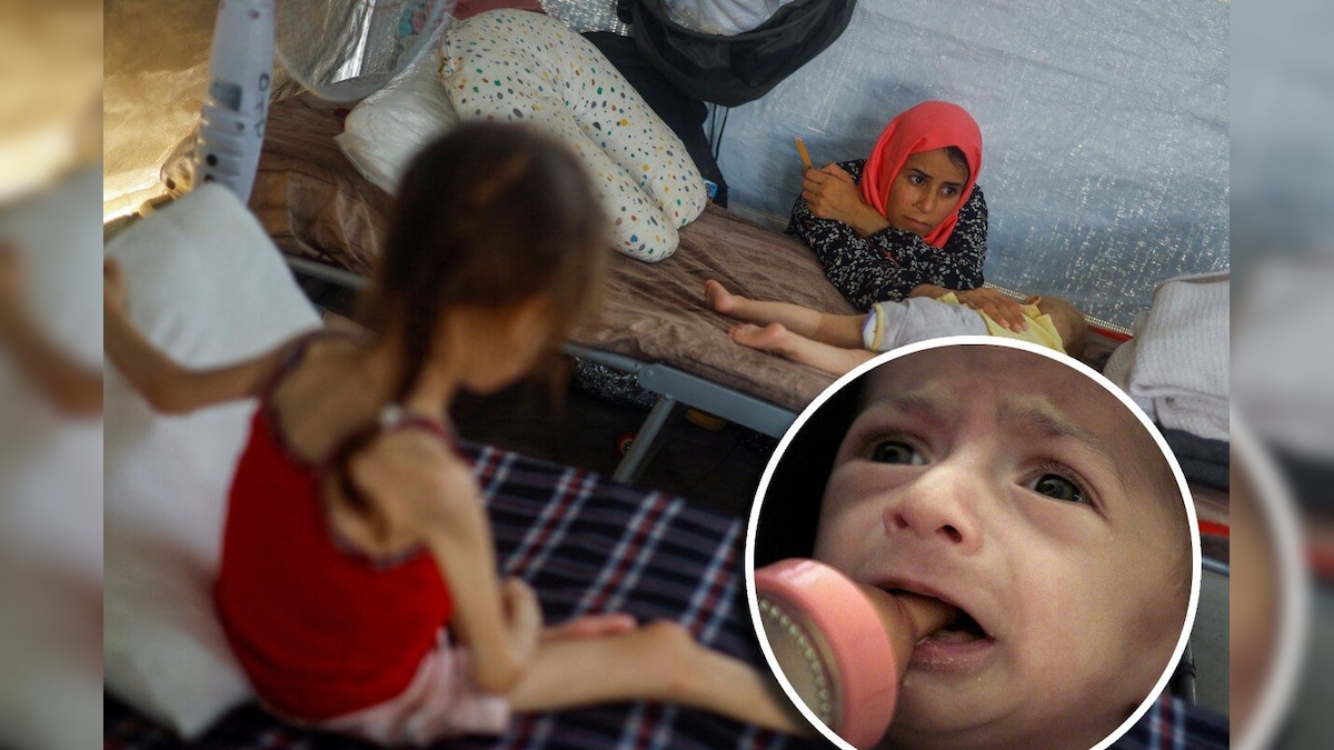 Hunger Body, Sunni eyes … Screams of Gaza say – ‘Save us’