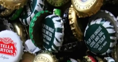 130 ਸਾਲ ਪੁਰਾਣਾ ਰਾਜ਼, ਬੀਅਰ ਦੇ ਢੱਕਣ 'ਤੇ ਕਿਉਂ ਹੁੰਦੀਆਂ ਹਨ 21 ਧਾਰੀਆਂ, ਜਾਣੋ ਕੀ ਹੈ ਇਸ ਦਾ ਅਸਲ ਕਾਰਨ