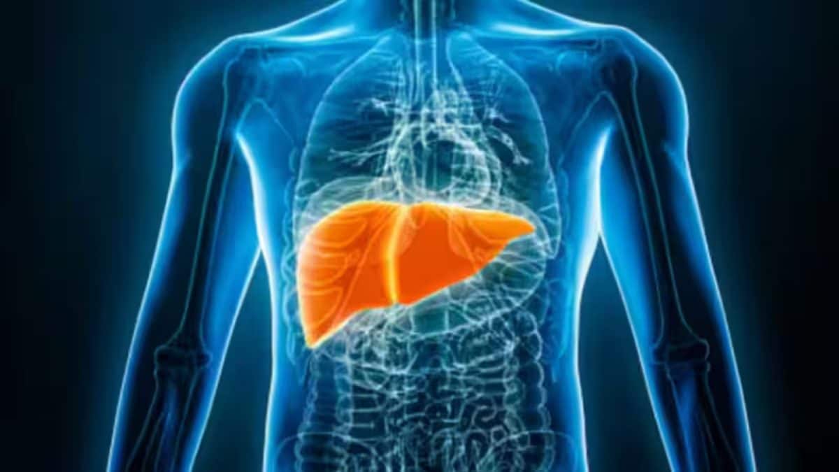 Liver Failure Color Signs of Liver Damage: ਸੱਜੇ ਮੋਢੇ ਦੇ ਦਰਦ ਤੋਂ ਲੈ ਕੇ ਲਗਾਤਾਰ ਥਕਾਵਟ ਤੱਕ, ਇਹ ...