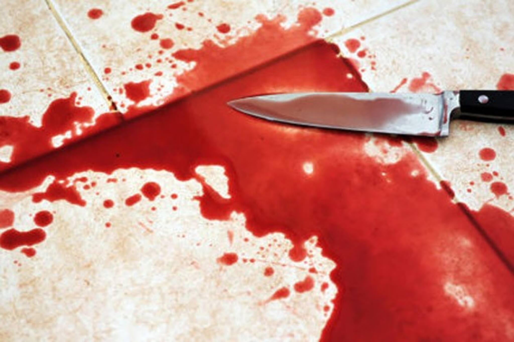 ফুলবাগানে যুবক খুনের কিনার করল পুলিশ