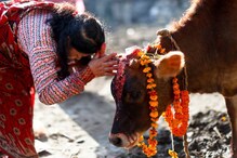 বিহার ফলাফলের ধাক্কা বাংলাতেও বিহার ফলাফলের ধাক্কা বাংলাতেও