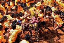 উঠল ‘জাল্লিকাট্রু’-র উপর থেকে নিষেধাজ্ঞা উঠল ‘জাল্লিকাট্রু’-র উপর থেকে নিষেধাজ্ঞা