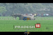 শুঁড়ে তুলে আঁছড়ে মারল হাতি শুঁড়ে তুলে আঁছড়ে মারল হাতি
