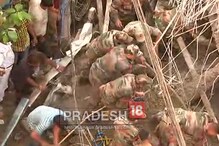 দেখুন ভিডিও: উড়ালপুলের ধ্বংসস্তূপে আটক বহু মানুষ, চলছে সেনার উদ্ধারকাজ দেখুন ভিডিও: উড়ালপুলের ধ্বংসস্তূপে আটক বহু মানুষ, চলছে সেনার উদ্ধারকাজ