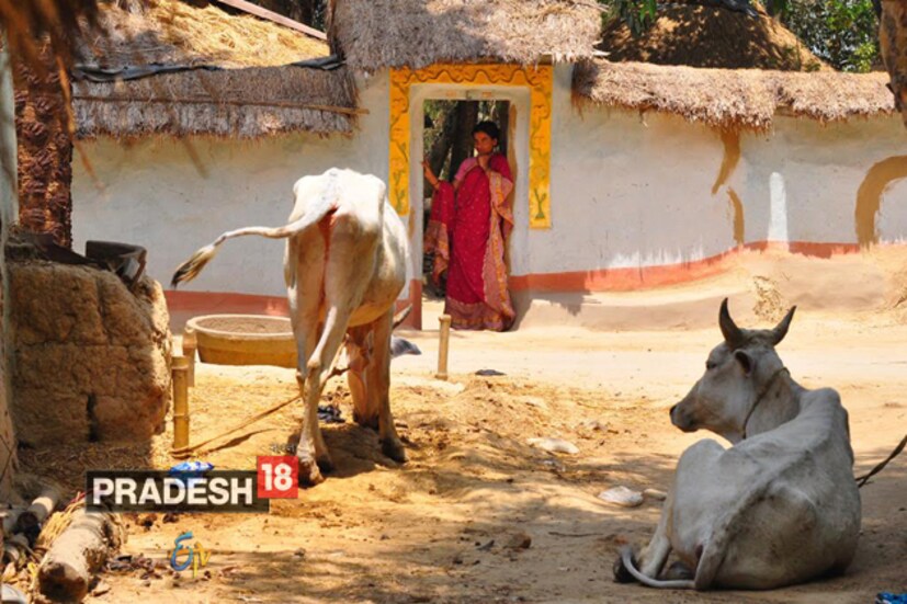 ঘর ছাড়তে বাধ্য হয়েছিলেন প্রচুর মানুষ ৷ রাত-বিরেতে শুরু হত অত্যাচার ৷ ভয়ে ঘর ছেড়ে রাতের পর রাত কাটিয়েছিলেন এই গ্রামের মানুষ ৷ 