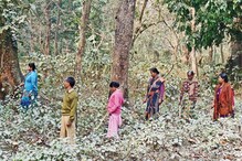 জঙ্গলে কাঠ সংগ্রহ করতে গিয়ে বনকর্মীদের গুলি খেতে হল মহিলাকে ! জঙ্গলে কাঠ সংগ্রহ করতে গিয়ে বনকর্মীদের গুলি খেতে হল মহিলাকে !