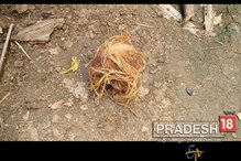 ফলাফলের আগের দিন ট্যাংরায় স্কুল থেকে উদ্ধার বোমা ফলাফলের আগের দিন ট্যাংরায় স্কুল থেকে উদ্ধার বোমা