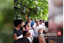 ‘দিদি’-কে জয়ের শুভেচ্ছা মুকুল-দেবের, দেখুন ভিডিও ‘দিদি’-কে জয়ের শুভেচ্ছা মুকুল-দেবের, দেখুন ভিডিও
