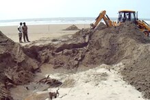 দীঘার সৈকতে বালি খুঁড়ে তিমির কঙ্কাল উদ্ধার, দেখুন ভিডিও দীঘার সৈকতে বালি খুঁড়ে তিমির কঙ্কাল উদ্ধার, দেখুন ভিডিও