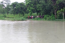 নতুন বিপত্তি জলপাইগুড়িতে, বাঁধ ভাঙল তোর্ষা নদীর নতুন বিপত্তি জলপাইগুড়িতে, বাঁধ ভাঙল তোর্ষা নদীর
