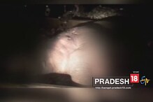 ফের ট্রেনের ধাক্কায় হাতি মৃত্যুর ঘটনা এরাজ্যে ! ফের ট্রেনের ধাক্কায় হাতি মৃত্যুর ঘটনা এরাজ্যে !