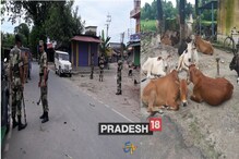 গোরু পাচারকে কেন্দ্র করে রণক্ষেত্র শিলিগুড়ি, জখম ৮ জওয়ান গোরু পাচারকে কেন্দ্র করে রণক্ষেত্র শিলিগুড়ি, জখম ৮ জওয়ান