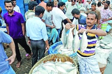 ইলিশ কিনলেই পাবেন কালার টিভি-মোবাইল ! ইলিশ কিনলেই পাবেন কালার টিভি-মোবাইল !