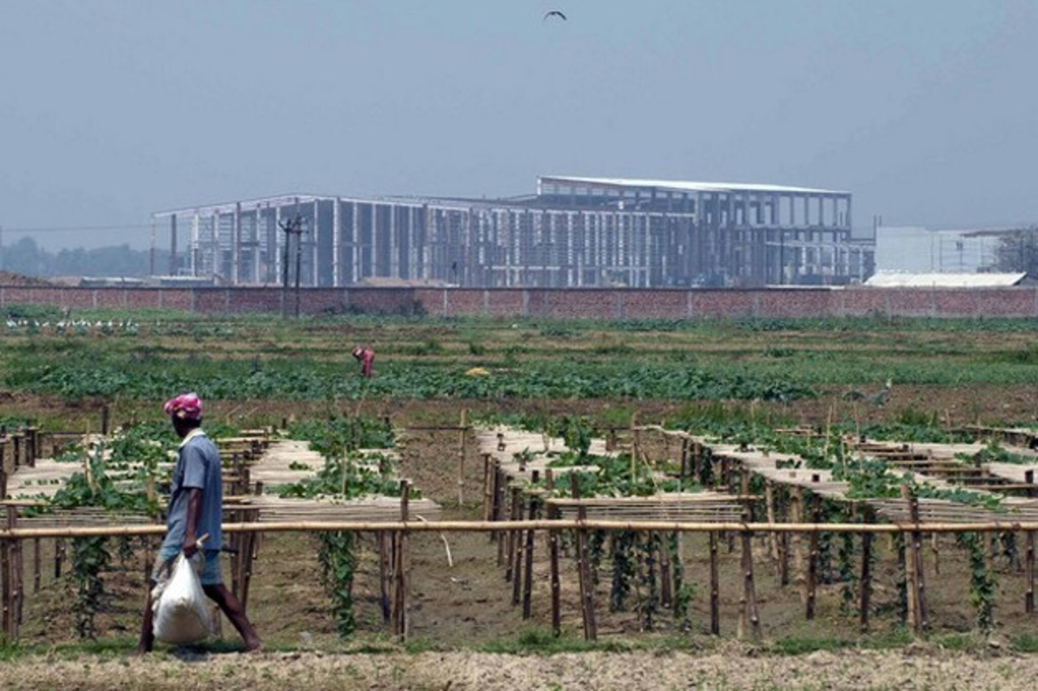 জমি ফেরানোয় ইতিহাস সৃষ্টি করল সিঙ্গুর