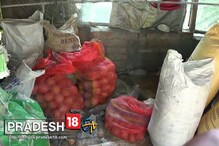 বারুইপুর থেকে নিষিদ্ধ শব্দবাজি-সহ ধৃত ১ বারুইপুর থেকে নিষিদ্ধ শব্দবাজি-সহ ধৃত ১