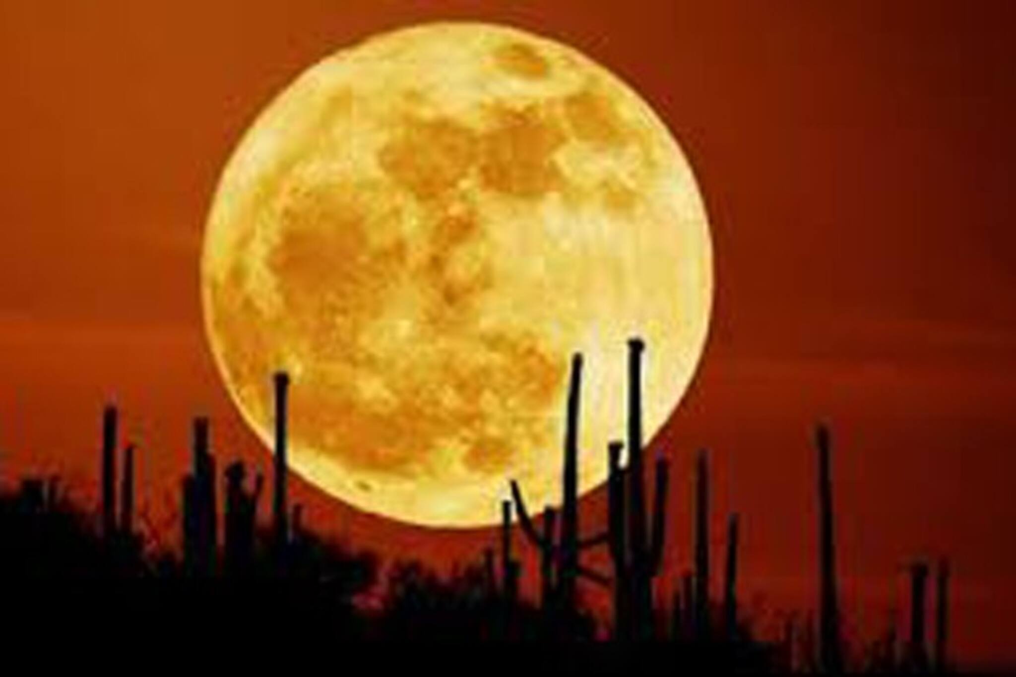 কোজাগরী পূর্ণিমায় রাতের আকাশে বিরল চাঁদ