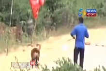 Video: বোমা খুঁজতে গিয়ে মর্মান্তিক ঘটনার শিকার হল এই স্নিফার ডগ, দেখুন Video: বোমা খুঁজতে গিয়ে মর্মান্তিক ঘটনার শিকার হল এই স্নিফার ডগ, দেখুন