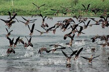 সাইলেন্স জোনের আওতায় রাজ্যের ঝিল ও জলাশয়, নির্দেশ পরিবেশ আদালতের, বিরোধিতায় রেল সাইলেন্স জোনের আওতায় রাজ্যের ঝিল ও জলাশয়, নির্দেশ পরিবেশ আদালতের, বিরোধিতায় রেল