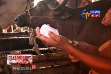 #video: কতটা ক্ষতিকারক বিষ মিশে রয়েছে আপনার সন্তানের দুধের গ্লাসে দেখুন! #video: কতটা ক্ষতিকারক বিষ মিশে রয়েছে আপনার সন্তানের দুধের গ্লাসে দেখুন!