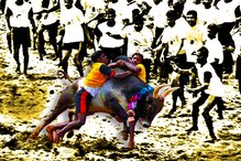 শীর্ষ আদালতের রায়ের বিরোধিতা করে জল্লিকাট্টুর দাবিতে বিক্ষোভে উত্তাল চেন্নাই শীর্ষ আদালতের রায়ের বিরোধিতা করে জল্লিকাট্টুর দাবিতে বিক্ষোভে উত্তাল চেন্নাই