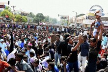 অর্ডিন্যান্সে সায়, ফিরছে জাল্লিকাট্টু