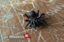 Video: āĻā§āϝāĻžāϰāĻžāύā§āĻā§āϞāĻžāϰ āĻšāĻĻāĻŋāĻļ āĻŽāĻŋāϞāϞ āĻāĻžāĻāĻĻāĻžāϰ āĻĒāĻŋāĻāύāĻŋāĻ āĻĒāĻžāϰā§āĻā§ Video: āĻā§āϝāĻžāϰāĻžāύā§āĻā§āϞāĻžāϰ āĻšāĻĻāĻŋāĻļ āĻŽāĻŋāϞāϞ āĻāĻžāĻāĻĻāĻžāϰ āĻĒāĻŋāĻāύāĻŋāĻ āĻĒāĻžāϰā§āĻā§
