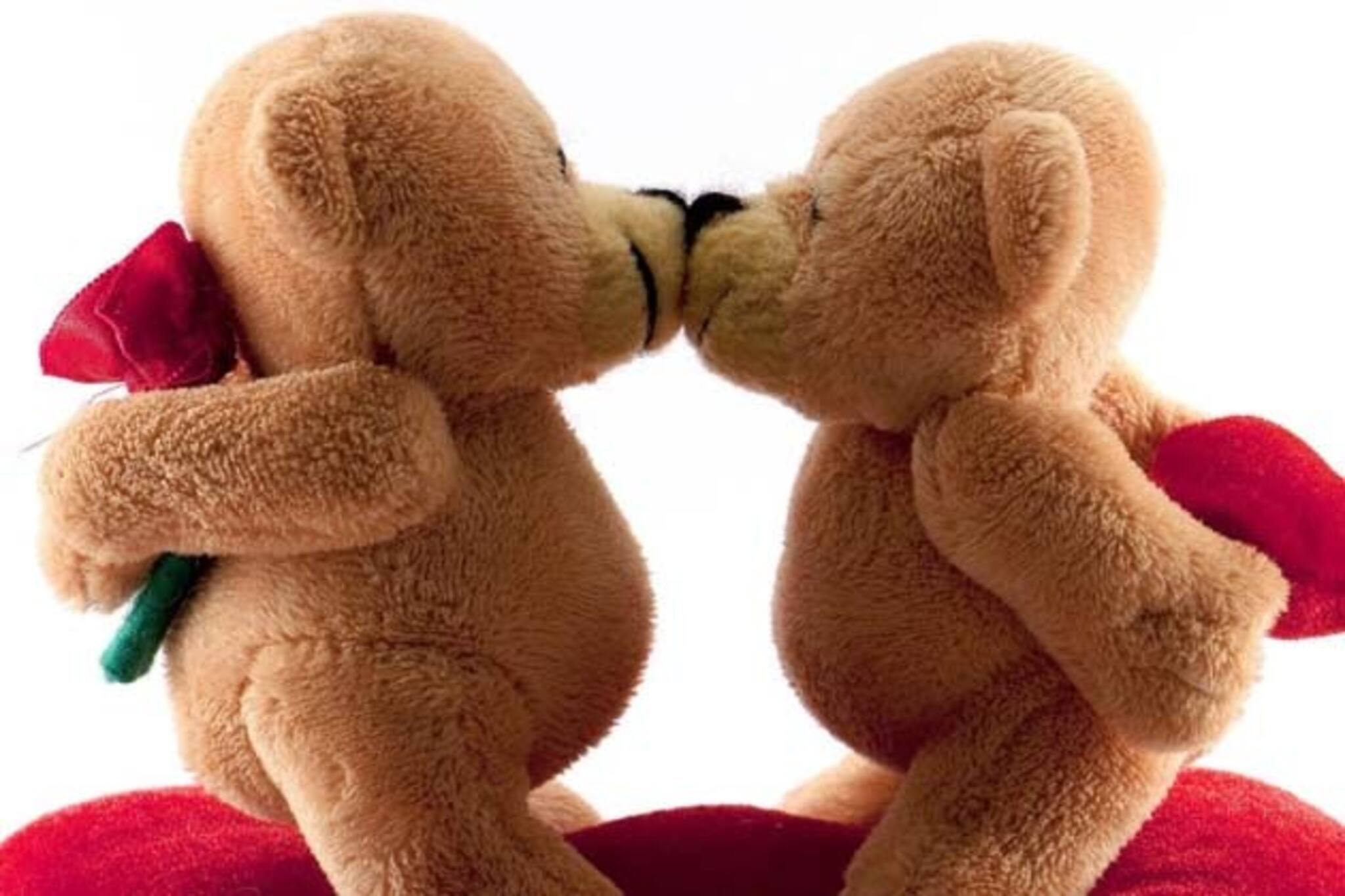 রেডি, স্টেডি, গো, টেডিতে বাড়ুক প্রেম...