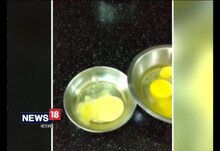 প্লাস্টিক ডিমকাণ্ডে সিপিএম নেতা রবীন দেবের ভাইপোকে তলব পুলিশের