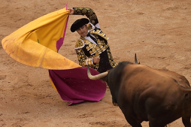 Spanish bullfighting El Fandi, performances with a Fuente Ymbros fighting bull during a bullfighting at the San Fermin Festival, in Pamplona, northern Spain. Photo: AP Spanish bullfighting El Fandi, performances with a Fuente Ymbros fighting bull during a bullfighting at the San Fermin Festival, in Pamplona, northern Spain. Photo: AP