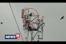 Video: মোবাইল টাওয়ারে হনুমান !