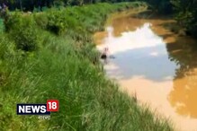 নদী ভাঙন রুখতে সফল ভেটিবার প্রজাতির ঘাস নদী ভাঙন রুখতে সফল ভেটিবার প্রজাতির ঘাস