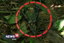 Video: কলকাতায় অনুষ্কার ‘পরী’ ছবির শ্যুটিং সেটে দুর্ঘটনা ! Video: কলকাতায় অনুষ্কার ‘পরী’ ছবির শ্যুটিং সেটে দুর্ঘটনা !