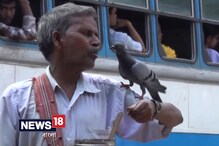 Video: দেখুন গণেশের পায়রার ভাইরাল ভিডিও Video: দেখুন গণেশের পায়রার ভাইরাল ভিডিও