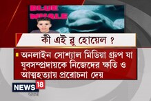 Video: অনলাইনে মারণ গেম, Blue Whale-এর ফাঁদে পড়ে প্রাণ যাচ্ছে ইয়ংজেনের Video: অনলাইনে মারণ গেম, Blue Whale-এর ফাঁদে পড়ে প্রাণ যাচ্ছে ইয়ংজেনের
