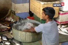 Video: জাতীয় বক্সার অথচ আয়ের জন্য মাছ বিক্রি করেন তিনি Video: জাতীয় বক্সার অথচ আয়ের জন্য মাছ বিক্রি করেন তিনি
