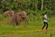 হাতি-মানুষ সংঘাত ঠেকাতে সতর্ক বনদফতর, এর জন্য কী ব্যবস্থা নেওয়া হচ্ছে ? হাতি-মানুষ সংঘাত ঠেকাতে সতর্ক বনদফতর, এর জন্য কী ব্যবস্থা নেওয়া হচ্ছে ?