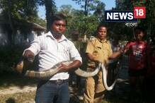 Video: ক্লাসরুমের পাশে কিং কোবরা ! পড়ুয়াদের বাঁচাতে ঝাঁপালেন শিক্ষক Video: ক্লাসরুমের পাশে কিং কোবরা ! পড়ুয়াদের বাঁচাতে ঝাঁপালেন শিক্ষক