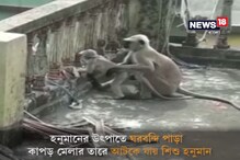 নিশ্চিন্দায় 'লঙ্কাকাণ্ড', হনুমানের দাপাদাপিতে ঘরবন্দি পাড়া নিশ্চিন্দায় 'লঙ্কাকাণ্ড', হনুমানের দাপাদাপিতে ঘরবন্দি পাড়া