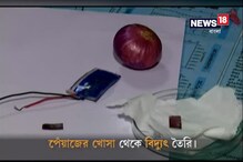Video: পেঁয়াজের খোসা থেকে তৈরি হচ্ছে বিদ্যুৎ! Video: পেঁয়াজের খোসা থেকে তৈরি হচ্ছে বিদ্যুৎ!