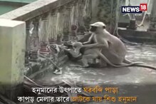Video: ছাদে কাপড় মেলার তারে আটকে গেল হনুমানের শিশু ! তারপর কী হল ? Video: ছাদে কাপড় মেলার তারে আটকে গেল হনুমানের শিশু ! তারপর কী হল ?