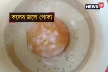 Video: পানীয় জলের কল থেকে বেরোচ্ছে পোকা ! Video: পানীয় জলের কল থেকে বেরোচ্ছে পোকা !