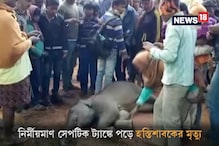 Video: নির্মীয়মাণ সেপটিক ট্যাঙ্কে পড়ে হস্তিশাবকের মৃত্যু Video: নির্মীয়মাণ সেপটিক ট্যাঙ্কে পড়ে হস্তিশাবকের মৃত্যু