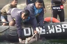 মুর্শিদাবাদের দৌলতাবাদে বাস দুর্ঘটনা: উদ্ধার আরও একটি মৃতদেহ, মৃতের সংখ্যা বেড়ে ৪৩ মুর্শিদাবাদের দৌলতাবাদে বাস দুর্ঘটনা: উদ্ধার আরও একটি মৃতদেহ, মৃতের সংখ্যা বেড়ে ৪৩