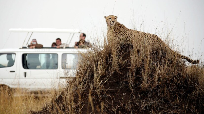 Kenya | Airfare: Rs 15,000 and above | Currency Rate: 1 Kenyan Shilling = INR 0.67 | Things to do: Wildlife and nature tours, eco-tourism, local shopping and sightseeing, cultural tours, and sport tourism. (Photo: Reuters)