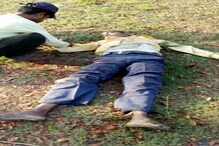 An employee of forest department died after falling from tree, as he was trying to save an ill parrot An employee of forest department died after falling from tree, as he was trying to save an ill parrot