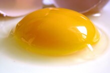 egg yolk reduce weight and cholesterol egg yolk reduce weight and cholesterol