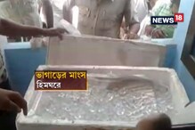 চার্জশিট জমা পড়েনি, ভাগাড়কাণ্ডে ২ অভিযুক্তের জামিন চার্জশিট জমা পড়েনি, ভাগাড়কাণ্ডে ২ অভিযুক্তের জামিন