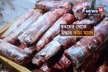 ভাগাড়ের মৃত-পচা বিড়ালের মাংস থেকে সংক্রমণ, নমুনা মিলল শহরে ভাগাড়ের মৃত-পচা বিড়ালের মাংস থেকে সংক্রমণ, নমুনা মিলল শহরে