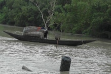 মধু সংগ্রহকারীদের উপর হামলা চালাল বাংলাদেশী জলদস্যুরা মধু সংগ্রহকারীদের উপর হামলা চালাল বাংলাদেশী জলদস্যুরা